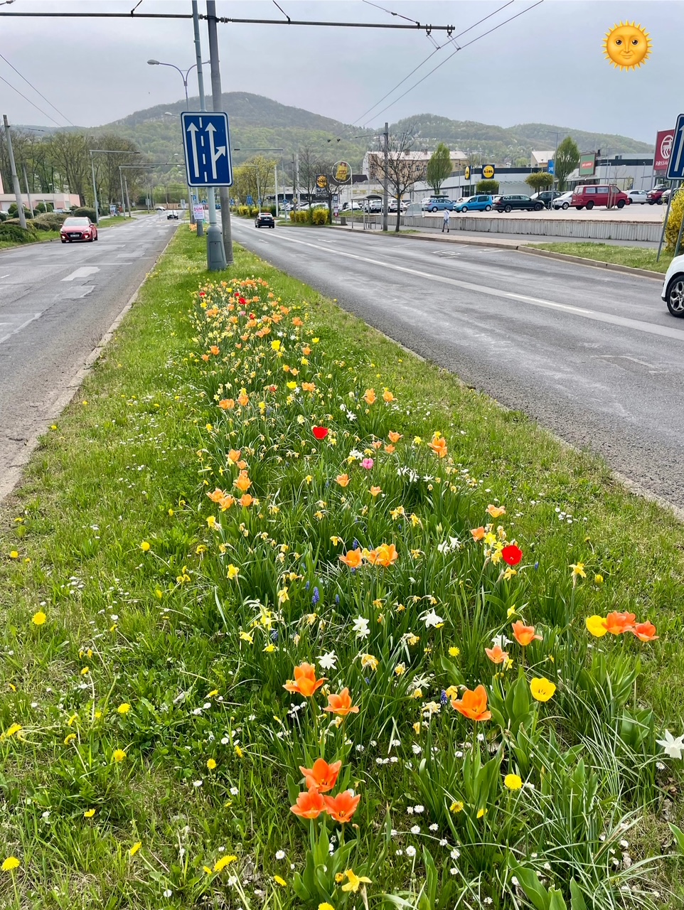 jarni cibuloviny | WebJET CMS