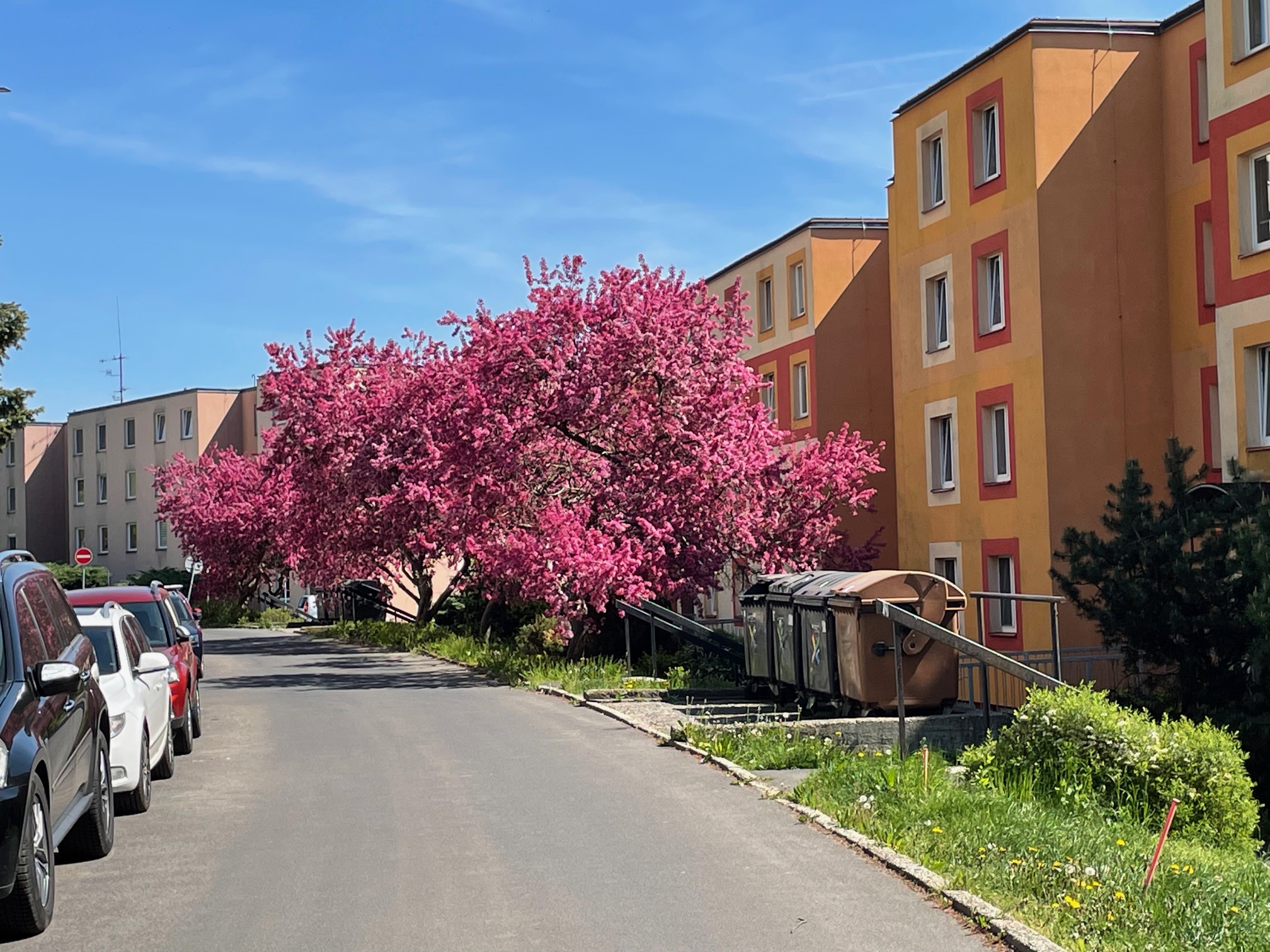 o obvodova liniova vysadba 2 | WebJET CMS